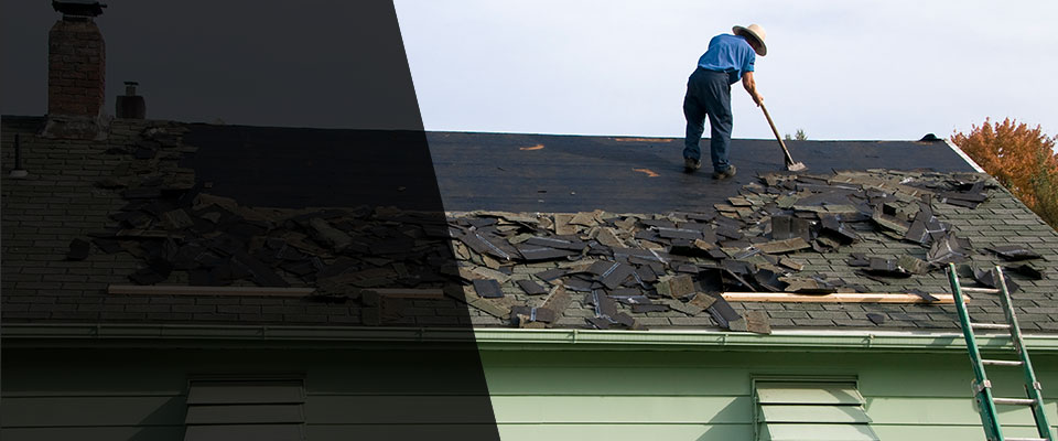 Forreston Roofing Contractors